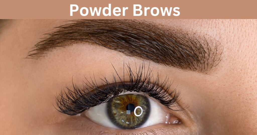 Powder Brows: A Comprehensive Guide